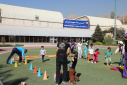 برگزاری موفق «جشنواره نشاط و حرکت» برای فرزندان جامعه علمی کشور