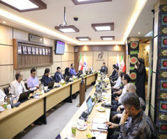 کارگاه آموزشی «تأسیس و توسعه شرکت‌های دانش‌بنیان» ویژه اعضای هیأت علمی دانشگاه‌های کشور برگزار شد