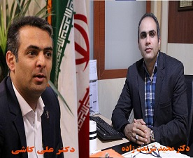 پژوهشگران برتر پژوهشگاه تربیتبدنی و علوم ورزشی معرفی شدند