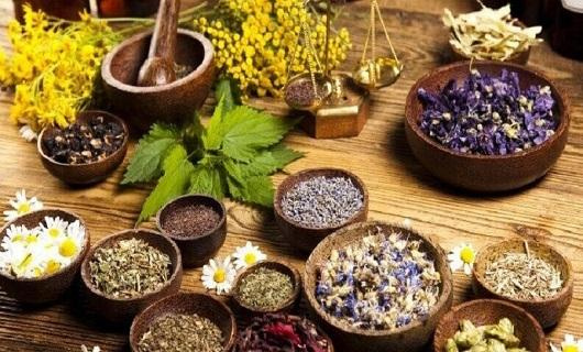 اثربخشی برخی گیاهان دارویی متداول در ایران بر فعالیتهای ورزشی
